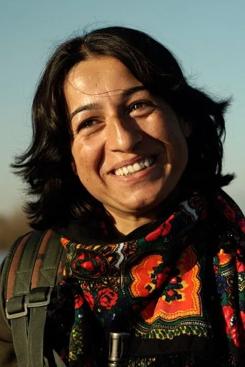 Jiyan Tolhildan profile picture