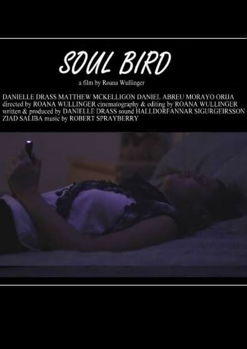 Soul Bird movie poster