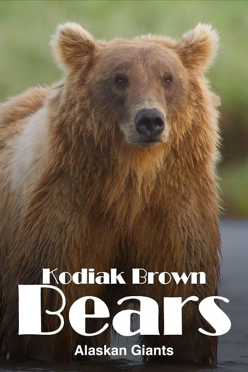 Alaska's Giant Bears movie poster