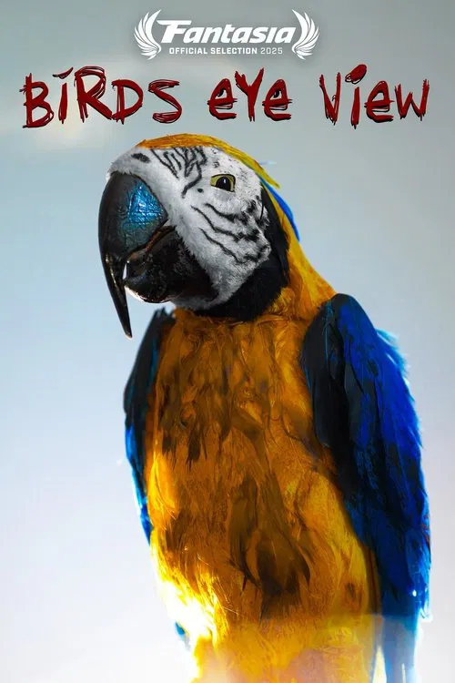 Bird's Eye View movie poster