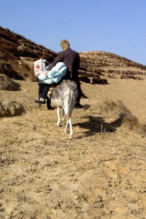 The Half Hitching Post movie poster