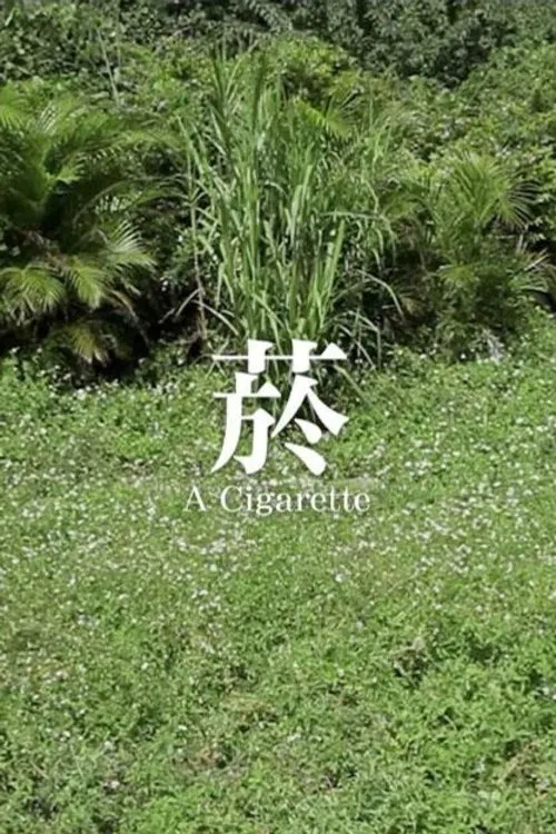 Poster do filme A Cigarette
