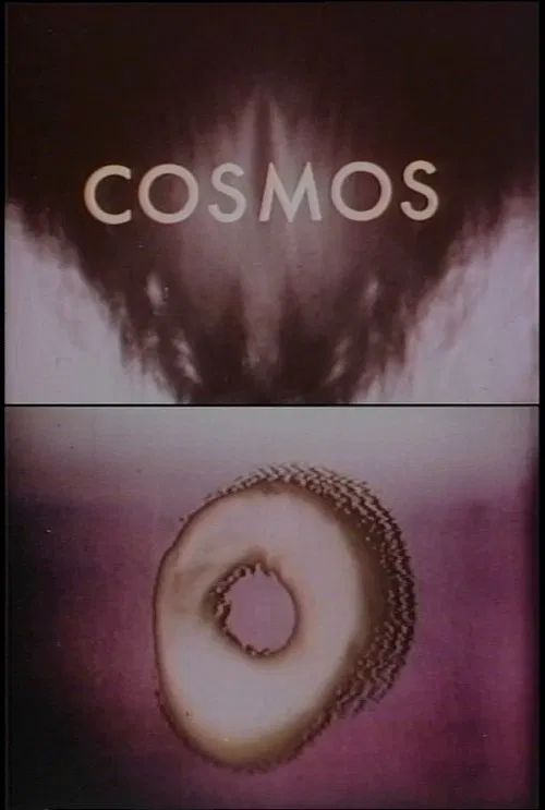 Cosmos movie poster