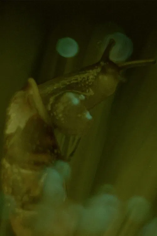 Comfort Stations movie poster