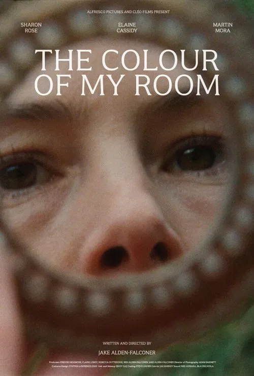 The Colour of My Room movie poster