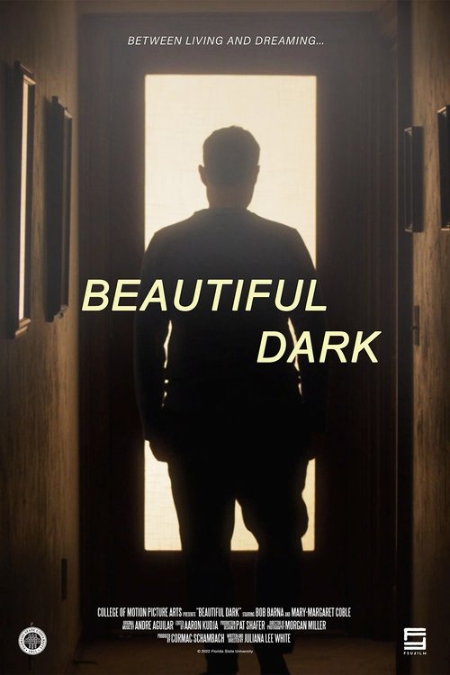 Beautiful Dark movie poster