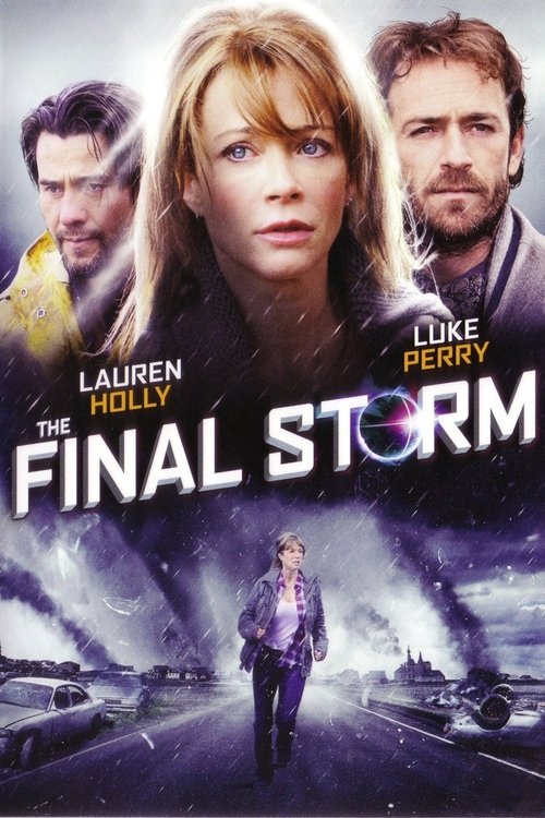 The Final Storm movie poster