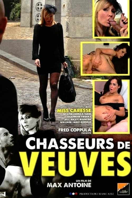 Poster do filme The Widow Hunters