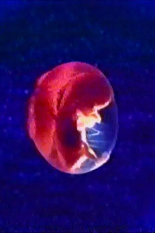 Audio and Visual Experiment 23 movie poster