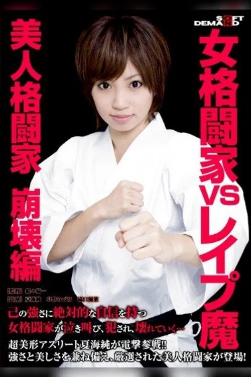 Female Martial Arts Master's Fight movie poster
