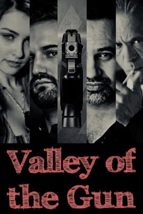 Poster do filme Valley of the Gun 2020