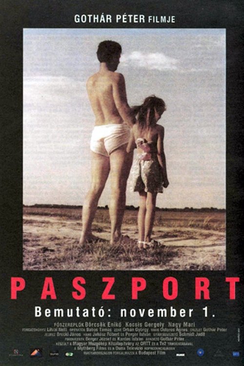 Passport movie poster