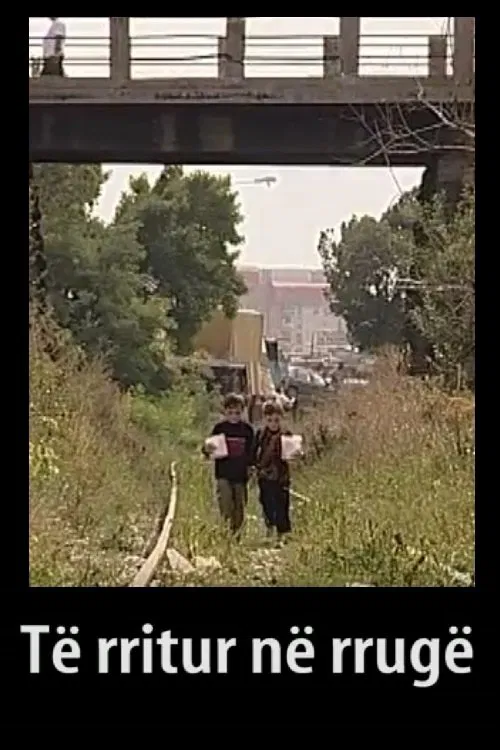 Growing Up in Streets movie poster