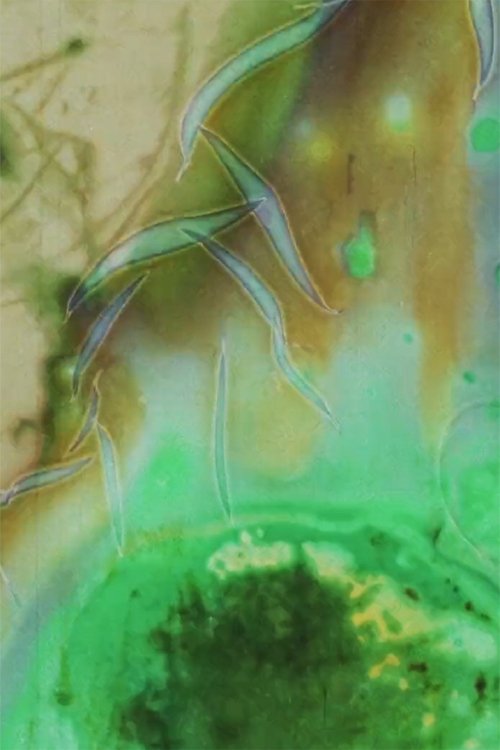 Fireside movie poster