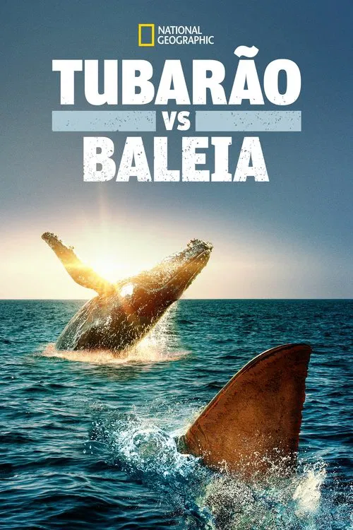 Poster do filme Tubarão vs. Baleia