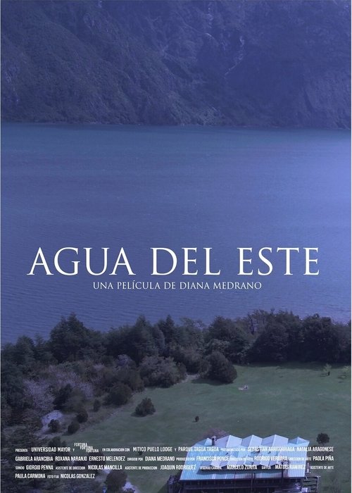 Agua del este movie poster