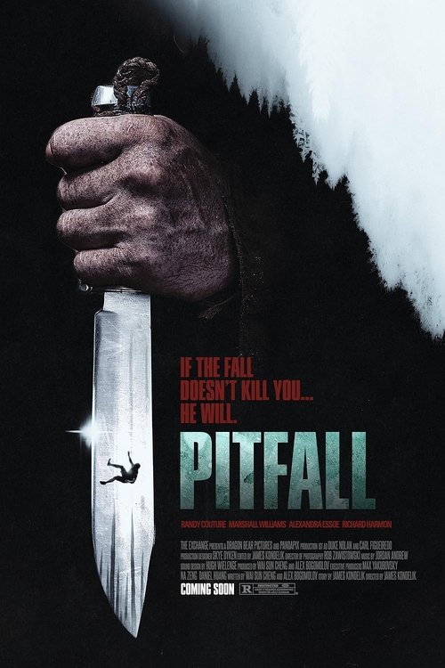 Pitfall movie poster