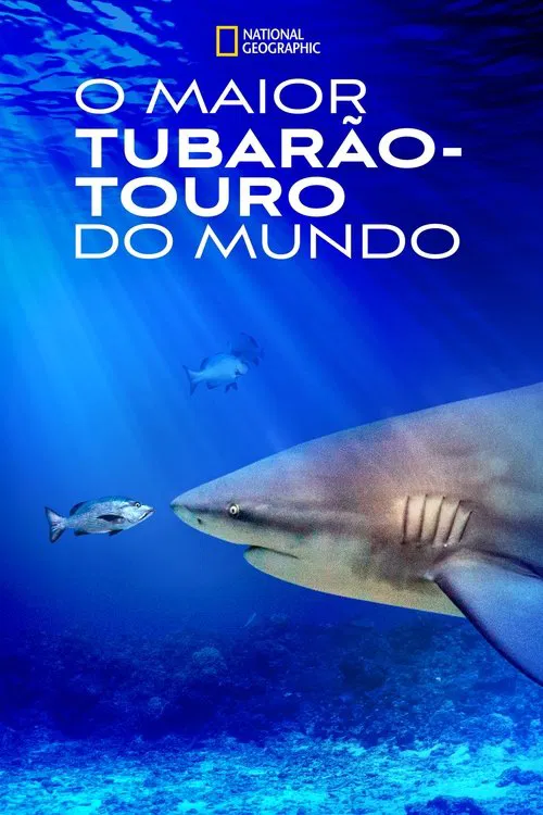 Poster do filme O Maior Tubarão-Touro do Mundo