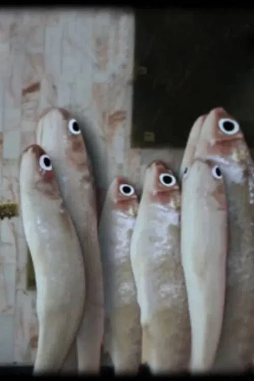 Antes de entrar permita salir movie poster