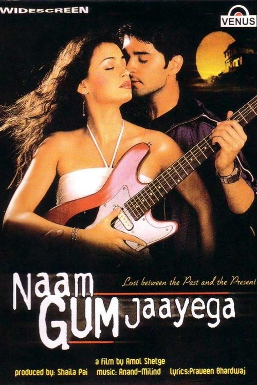 Naam Gum Jaayega movie poster