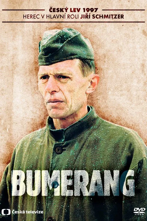 Boomerang movie poster
