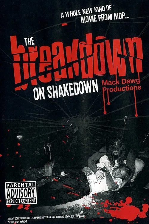The Breakdown on Shakedown movie poster