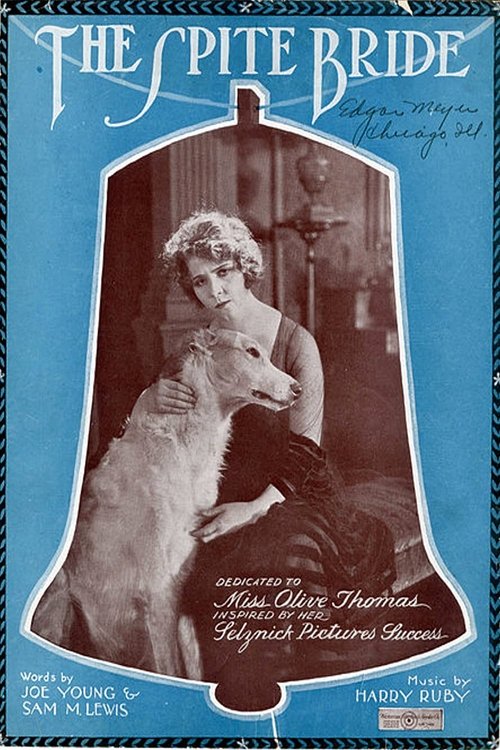Poster do filme The Spite Bride