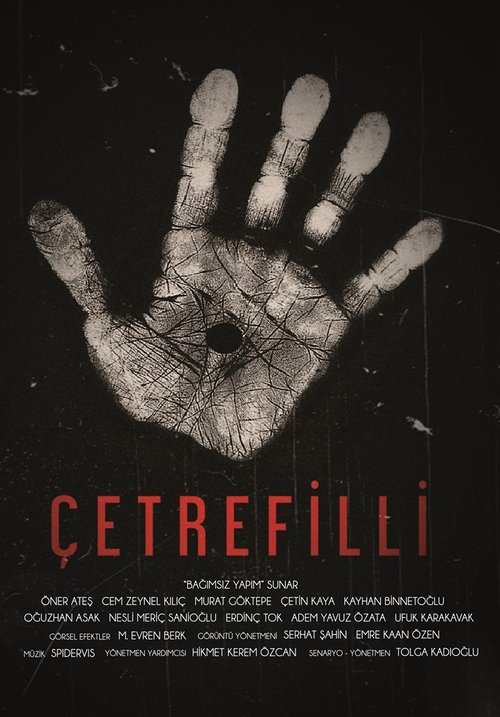 Çetrefilli movie poster