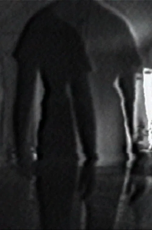 Double Vision movie poster