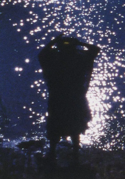 Poster do filme Woman with Flowers