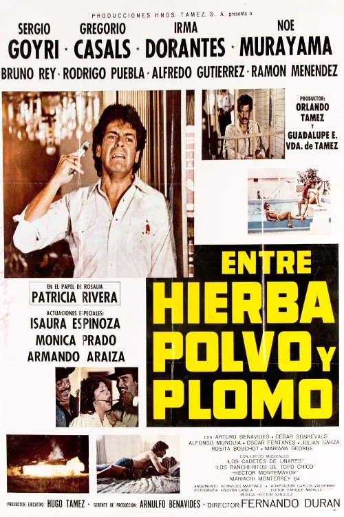 Entre Hierba, Polvo y Plomo movie poster