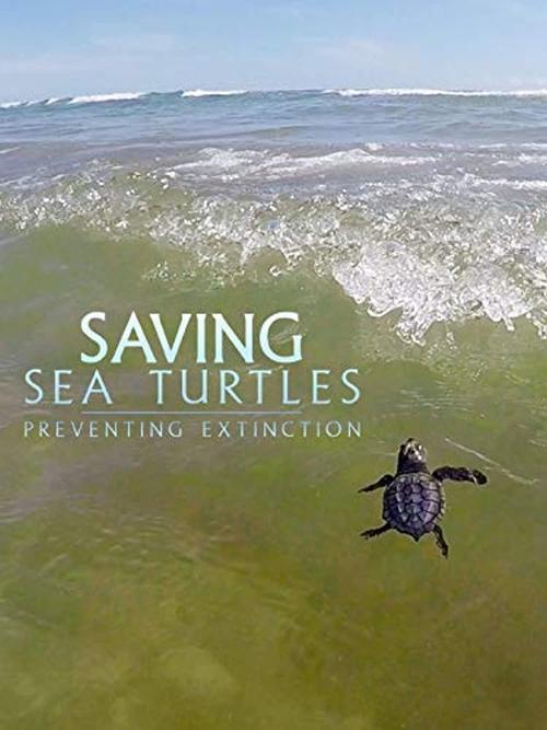 Saving Sea Turtles: Preventing Extinction movie poster