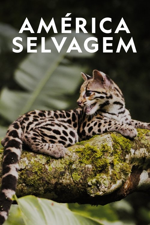 Poster da série América Selvagem