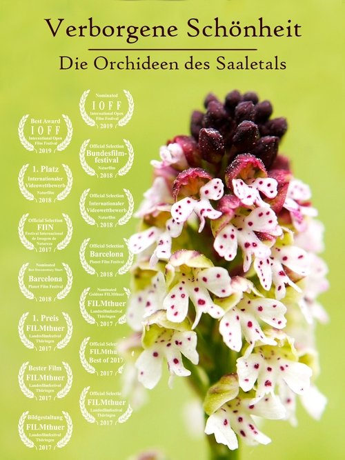 Hidden Beauty - The Orchids of the Saale Valley movie poster