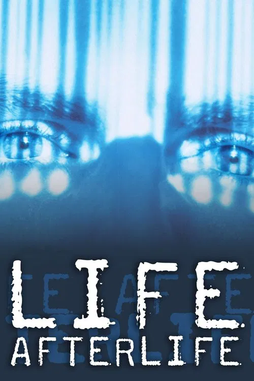 America Undercover: Life Afterlife movie poster