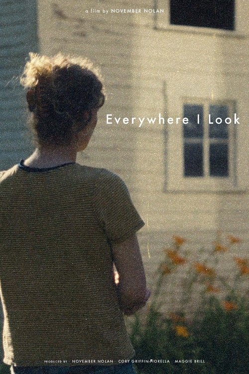 Everywhere I Look movie poster