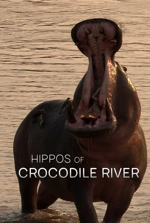 Poster do filme Hippos of Crocodile River