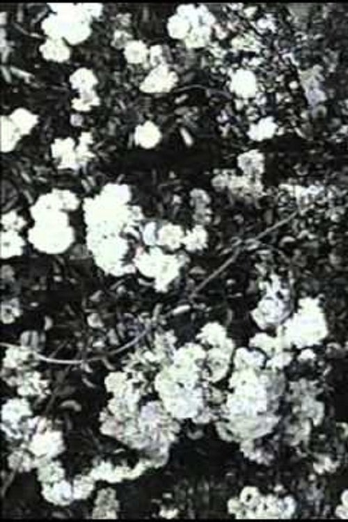 Poster do filme Jean Epstein or Cinema by Itself