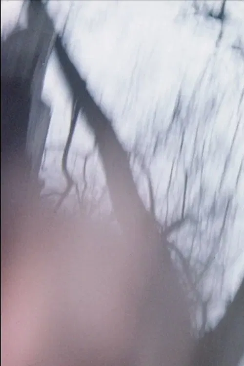 Sensitométrie IV movie poster