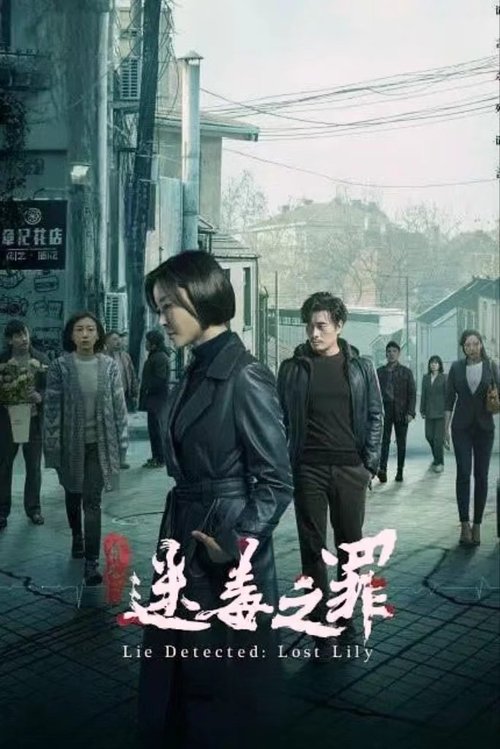 Lie Detected: Lost Lily movie poster