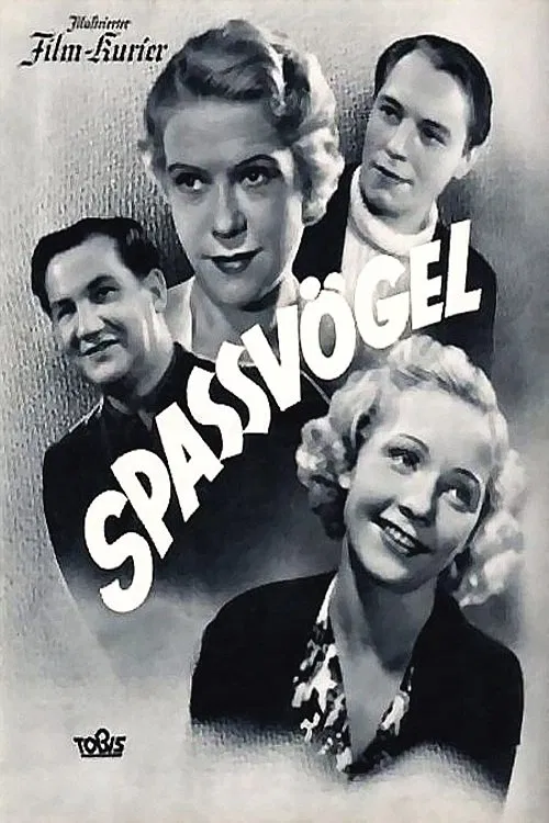 Poster do filme Spaßvögel