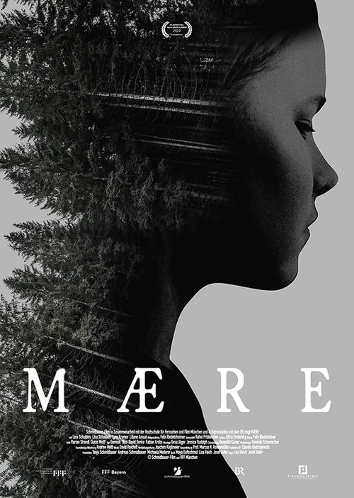 Poster do filme Mære