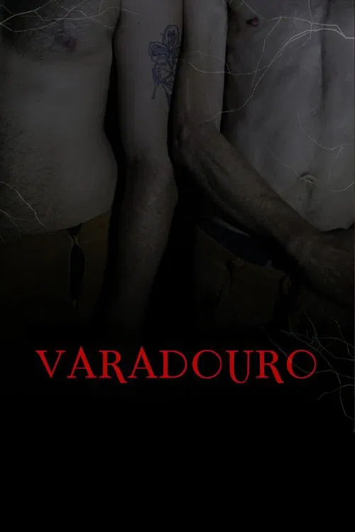 Poster do filme Varadouro