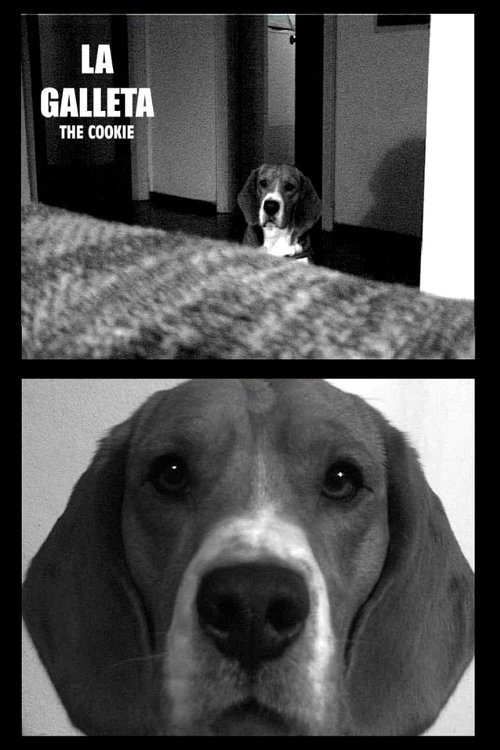 The Cookie movie poster