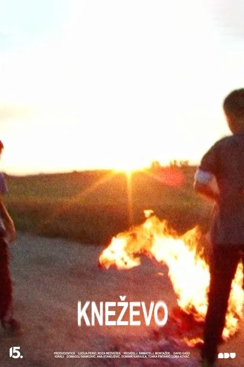 Flatland movie poster