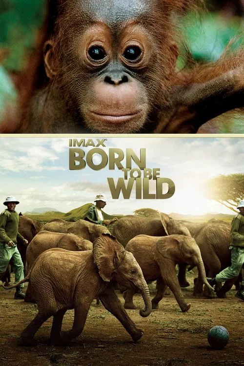 Born to Be Wild movie poster