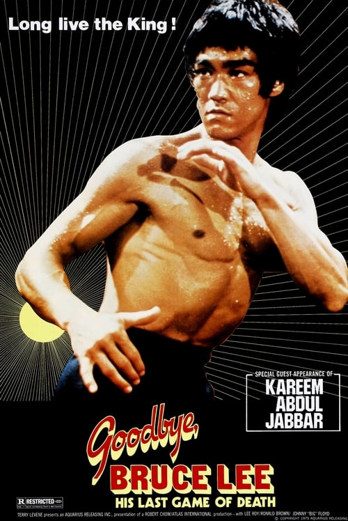 Goodbye Bruce Lee: His Last Game of Death movie poster