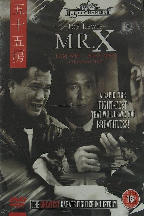 Poster do filme Mr. X