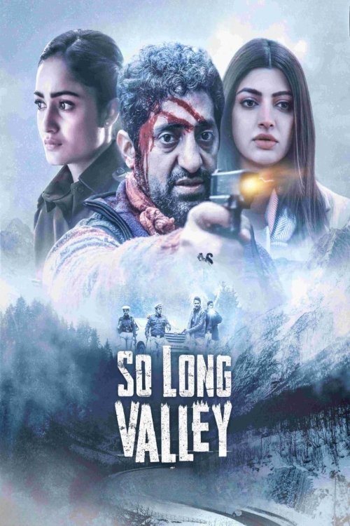 So Long Valley movie poster