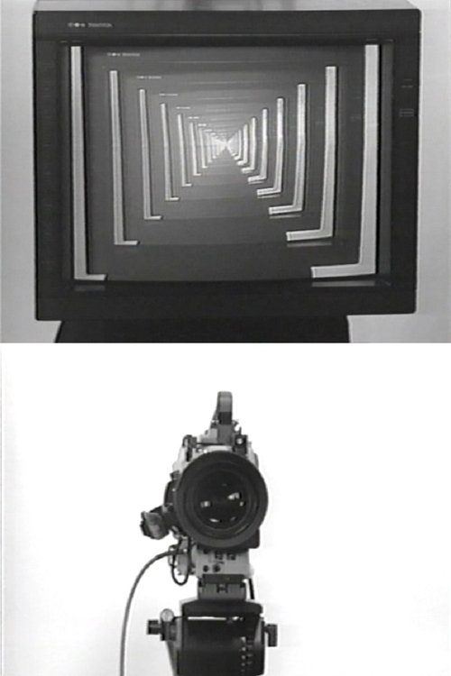 Observer / Observed movie poster